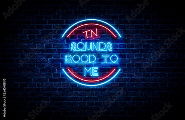 Fototapeta A sign showing Tennessee state slogan, in blue and red neon light on a brick wall background and wires on the side.