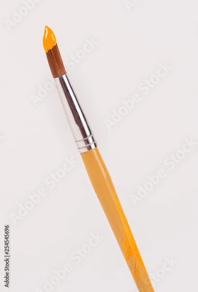 Obraz Orange Brush