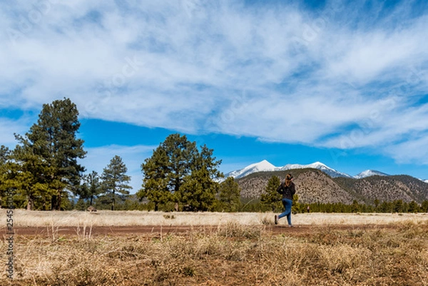 Fototapeta wide angle scene of female runner in flagstaff with the San Fransisco peaks in the distance.