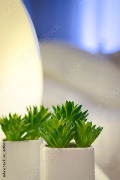 Obraz Home Inner Decoration