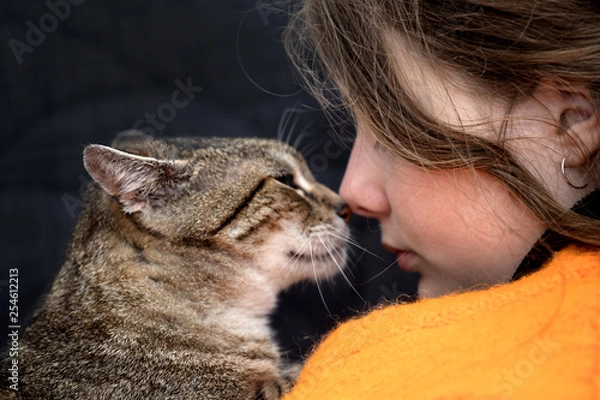 Obraz girl with a kitten,  cat love