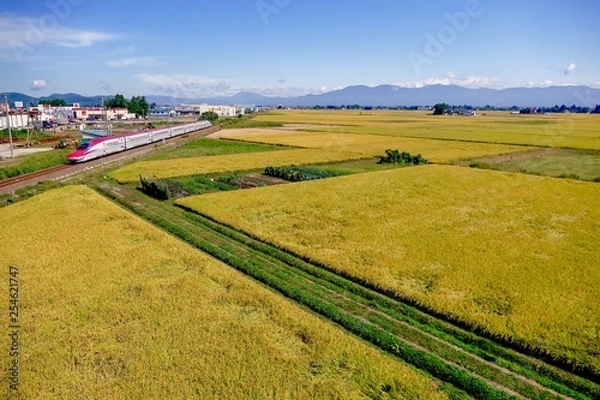 Obraz 《秋田新幹線の風景》秋田県大仙市