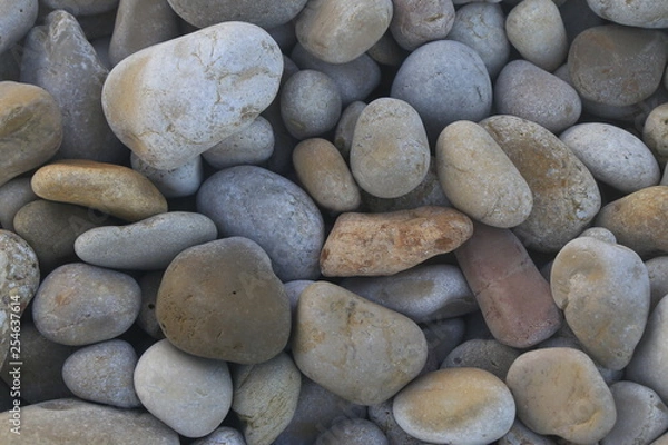 Fototapeta Piedras húmedas variadas en la playa