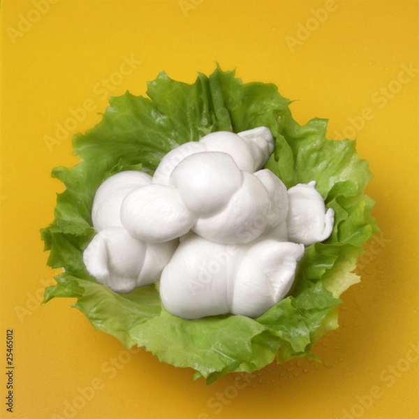 Obraz Znudzone produkty mleczne