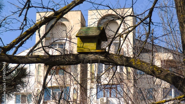 Obraz casa de pajaro