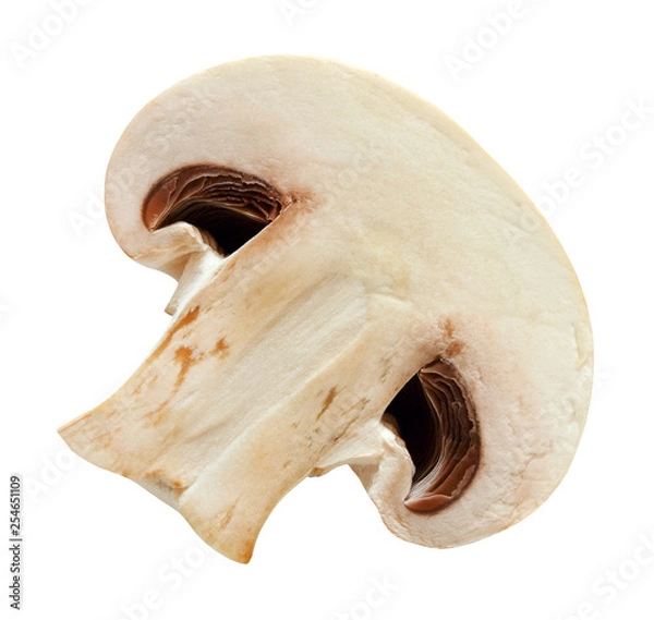 Fototapeta champignon mushroom cut half isolated on white background with clipping path.