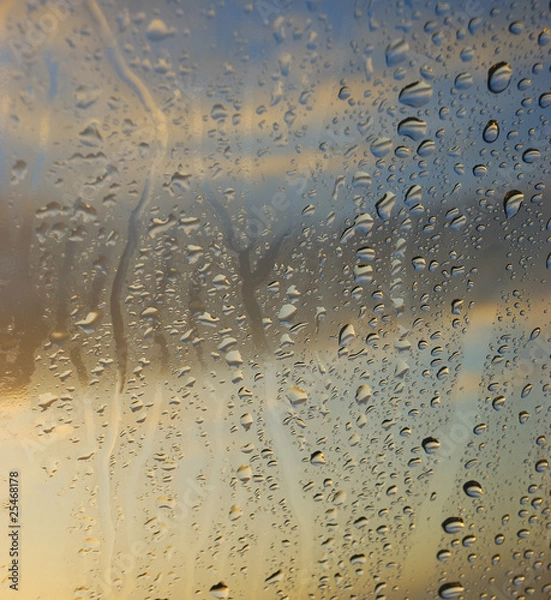 Obraz Buée sur vitre