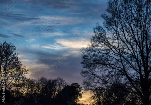 Obraz sunset in forest