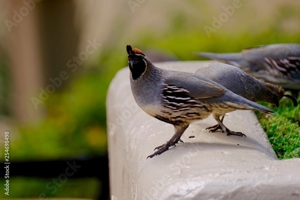 Obraz Look both ways