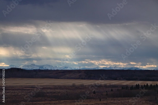 Obraz Sonnenstrahlen auf einem Feld