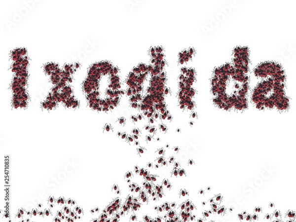 Fototapeta flock of beetles, mite