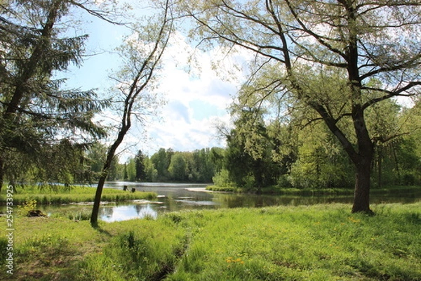 Fototapeta Пейзаж