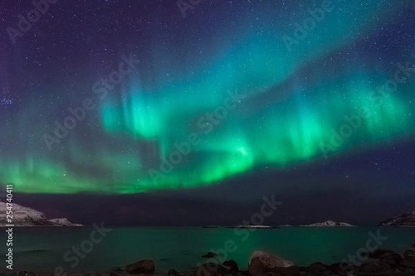 Fototapeta Nordlichter in Tromsø, Norwegen 
