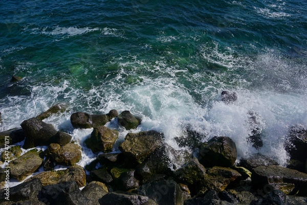 Obraz Black Sea waves versus rocks