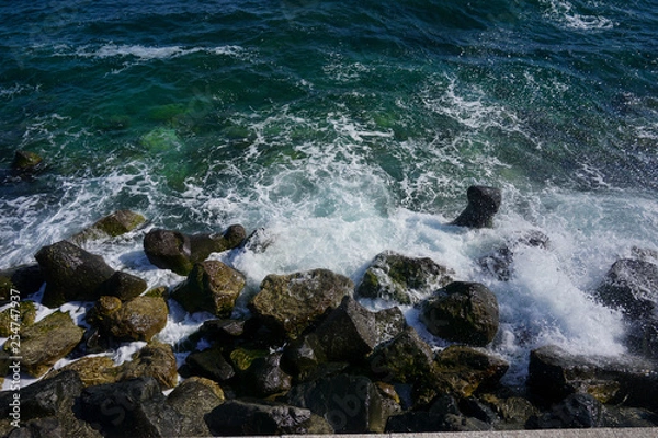 Obraz Black Sea waves versus rocks