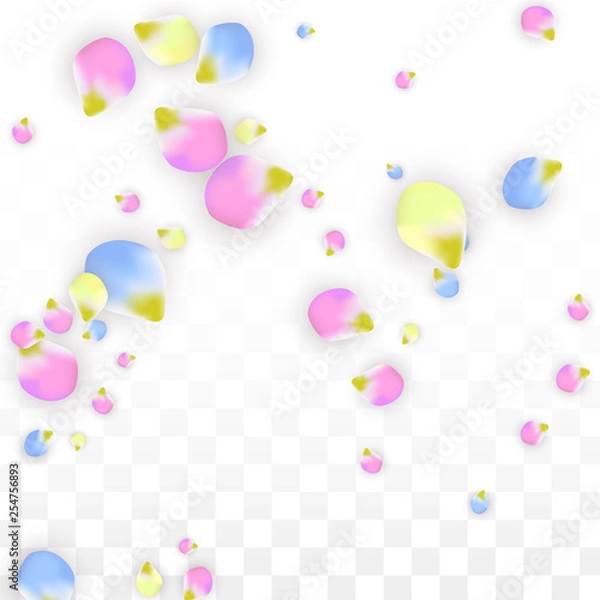 Fototapeta Vector Realistic Colorful Petals Falling on Transparent Background.  Spring Romantic Flowers Illustration. Flying Petals. Sakura Spa Design. Blossom Confetti. Design Elements for Wedding Decoration.