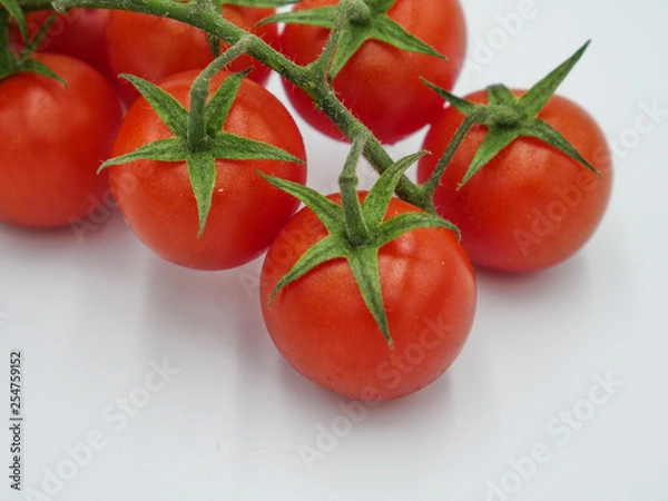 Obraz Organic tomatoes isolated on white background