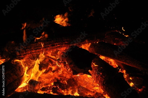 Fototapeta fire wood