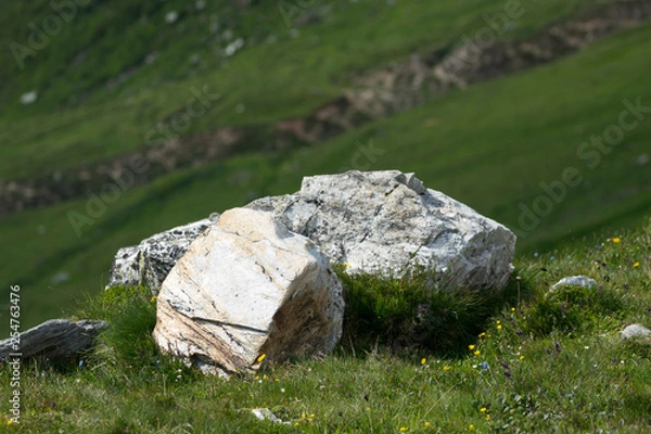 Obraz stones on the grass