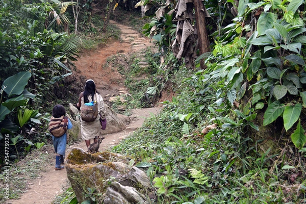 Obraz ciudad perdida santa marta