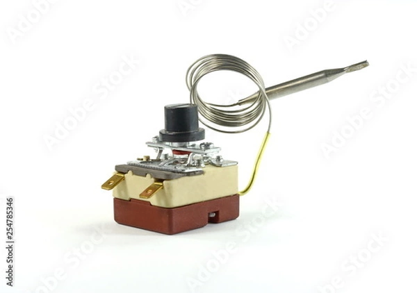 Obraz Thermostat kit isolate on white background.