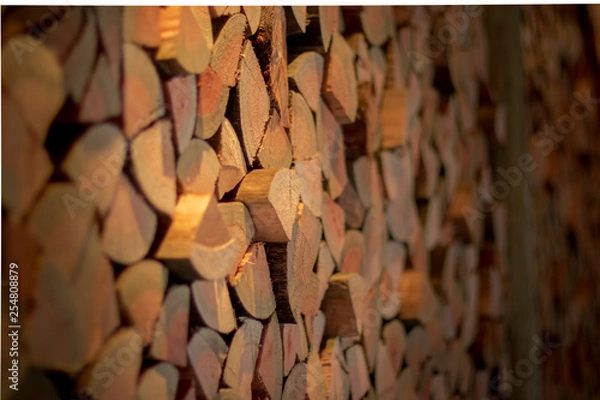 Obraz Wall with Woods Texture