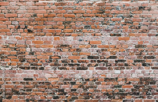 Fototapeta brick wall