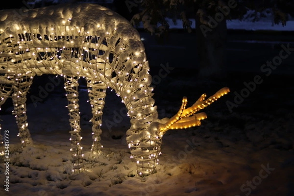 Obraz Installations from LED for Christmas and new year celebration