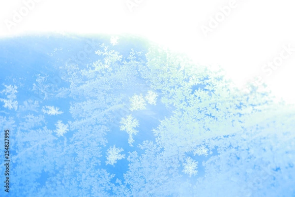 Obraz 冬　雪の結晶