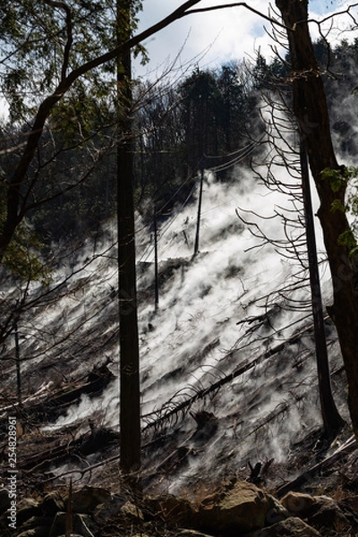 Obraz 火山の蒸気