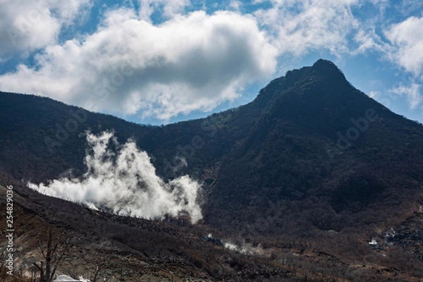 Obraz 火山の蒸気