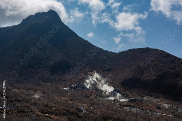 Obraz 火山の蒸気