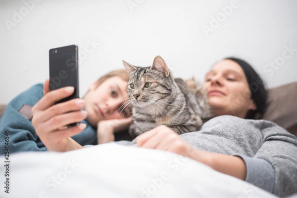 Obraz Familie mit Katze schaut ins Handy