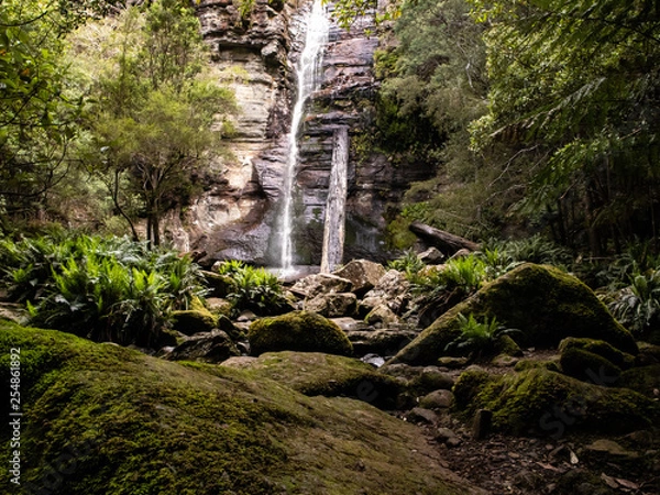 Obraz tasmanian waterfall