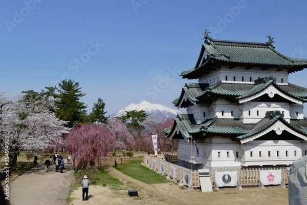Obraz 《弘前の桜》青森県弘前市