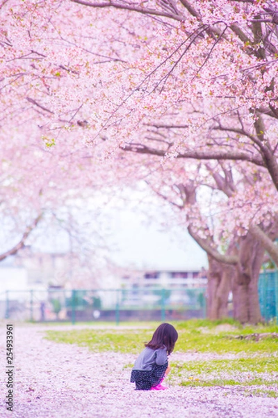 Fototapeta 桜と少女