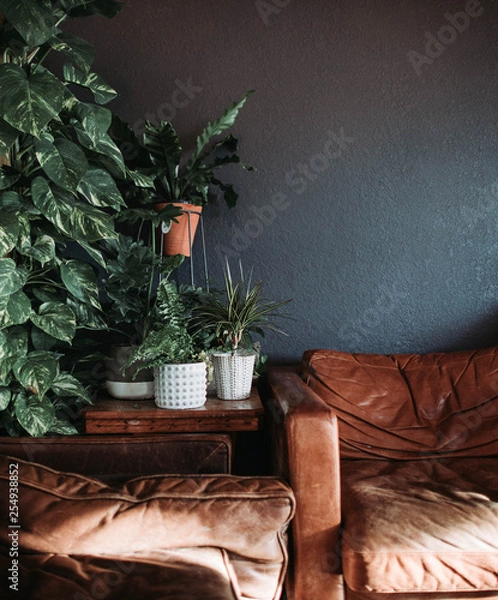 Obraz Comfortable sitting area