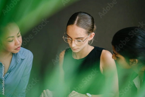 Obraz Three professional women of different ethnic backgrounds sit down and have a meeting around a table during the day in a conference room. They are all dressed professionally and competently.