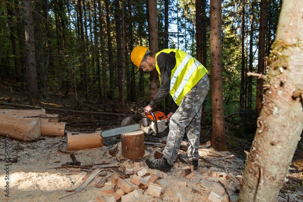 Fototapeta Lumberjack working with chainsaw in a forest