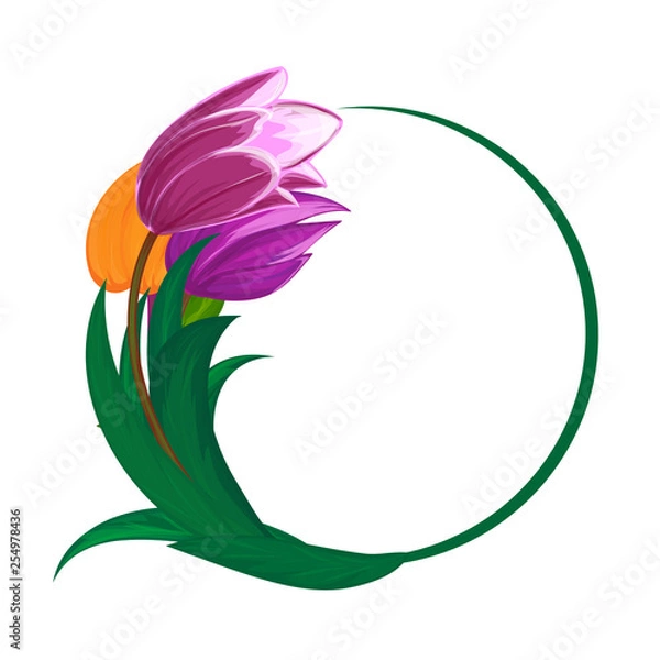 Obraz Vector tulips flower bouquet round frame or spring floral border with blooming red and purple garden blossom illustration isolated on white Perfect to use in postcard or greeting card graphic design