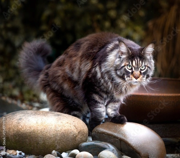 Obraz Jamie’s Kieselpfad 