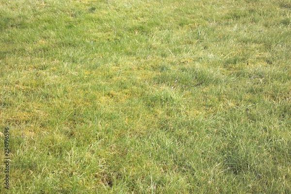 Fototapeta Luftgewehr