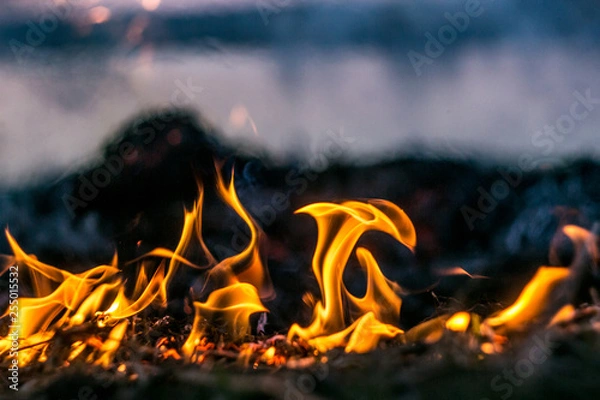Obraz The flames of the fire burning the herb in the evening field, turning into coals and ashes with smoke. Soft focus and texture.