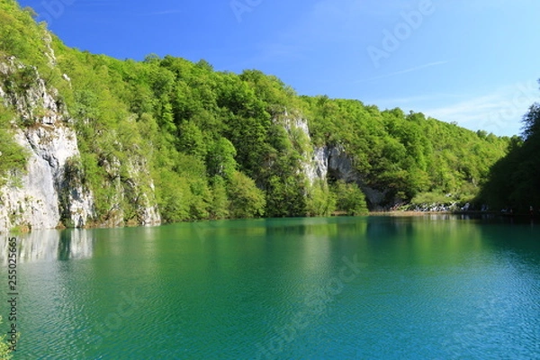 Fototapeta クロアチア　神秘的なエメラルドグリーンの世界　プリトヴィツェ　トレッキング