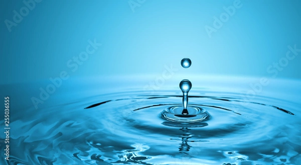 Fototapeta Clear Water drop with circular waves