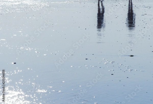 Fototapeta Reflections on the beach