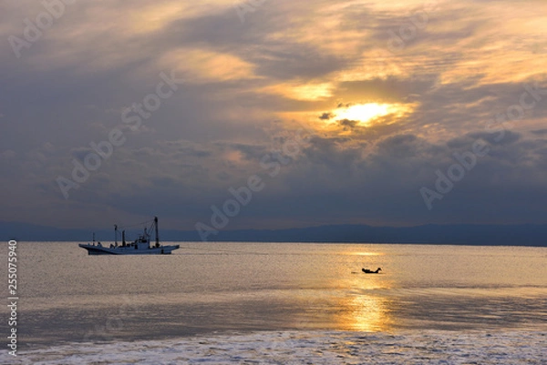 Obraz 夕方の辻堂海岸とサーファー