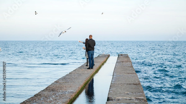 Fototapeta unrecognizable young couple on the beach on the pier feeding seagulls