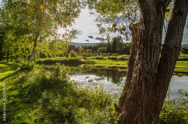 Obraz See in der Steiermark