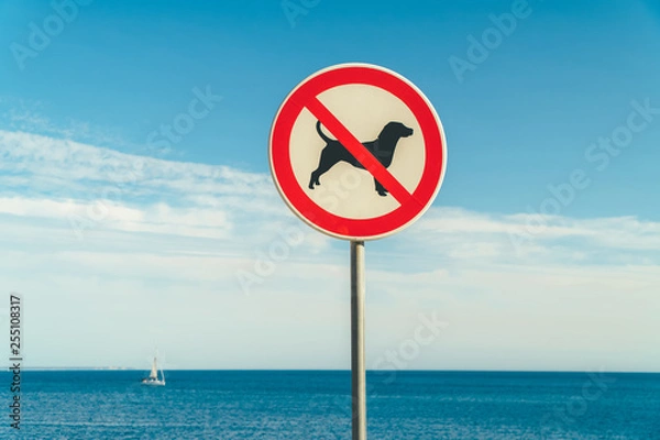 Fototapeta No Dogs Allowed Sign